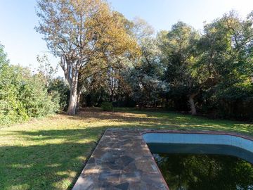 place photo 42