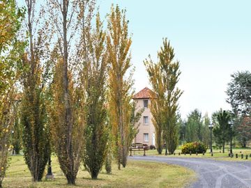 place photo 22