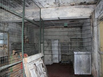 place photo 36