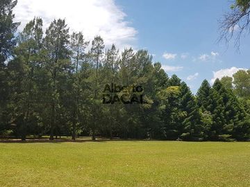 place photo 36
