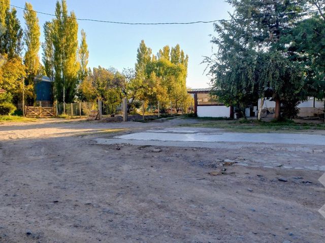 place photo 24