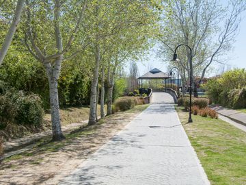 place photo 56