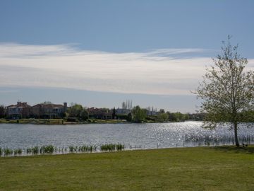 place photo 74