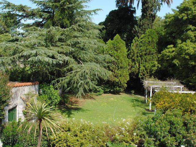 place photo 37