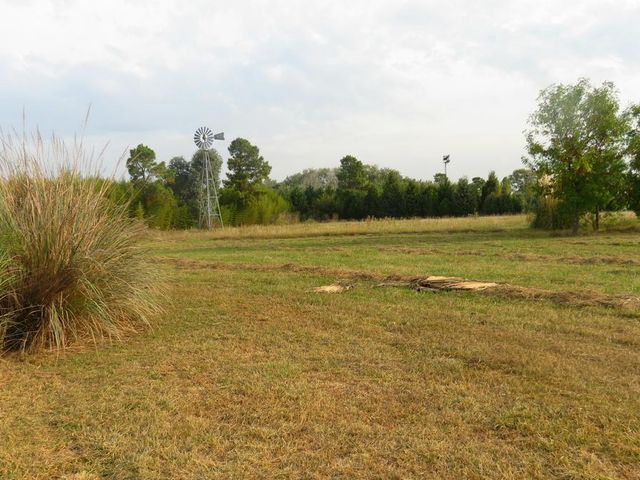 place photo 27