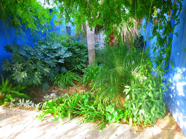 place photo 22