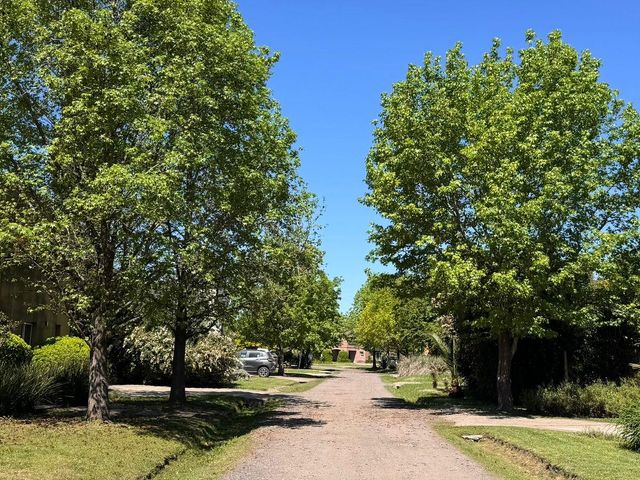 place photo 42
