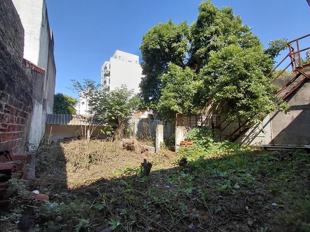 place photo 13