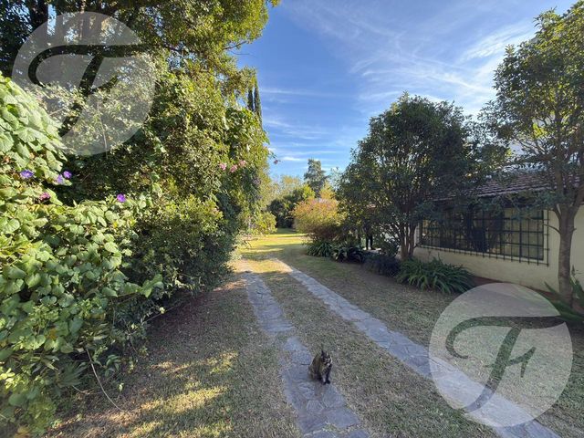 place photo 49