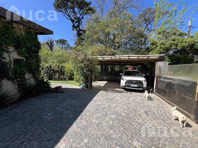 place photo 52