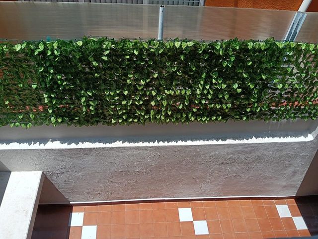 place photo 30