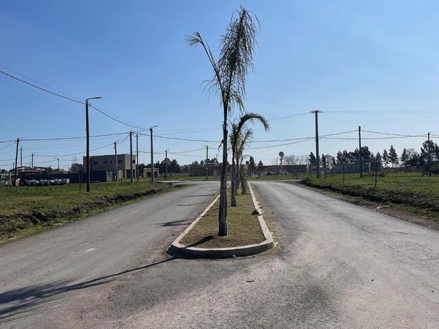 place photo 18