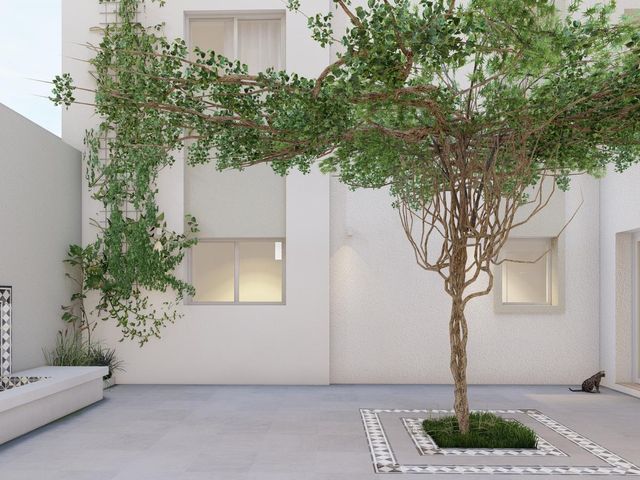 place photo 33