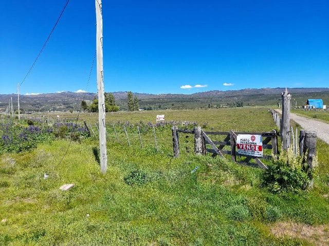 place photo 16