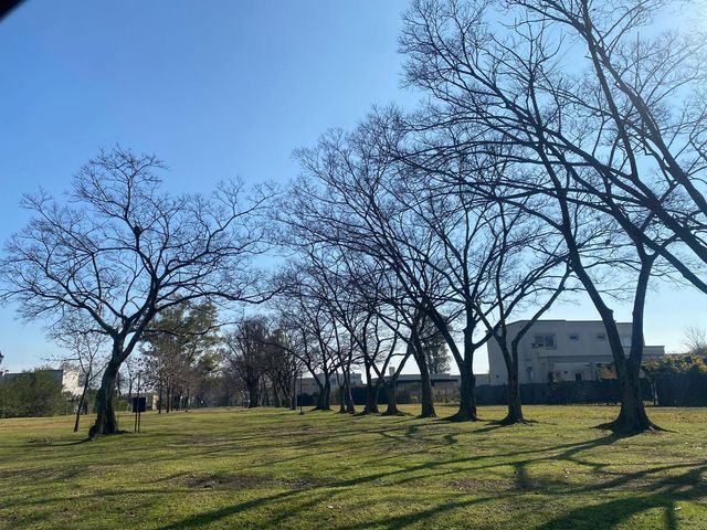 place photo 41