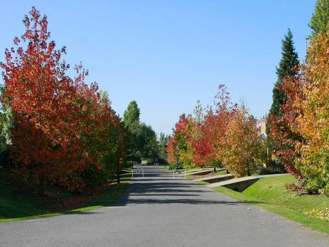 place photo 49