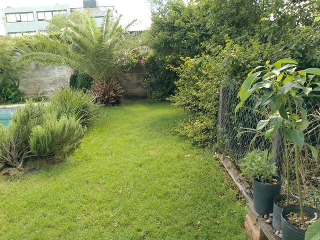place photo 39