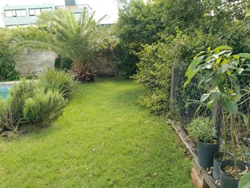 place photo 39