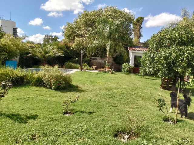 place photo 40