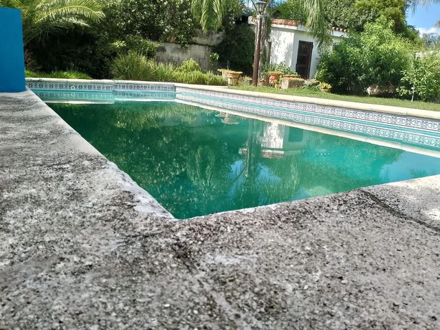 place photo 34