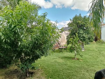 place photo 37