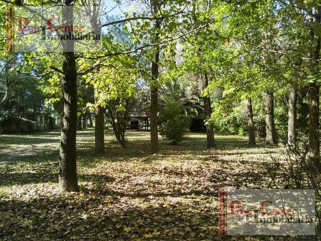 place photo 34