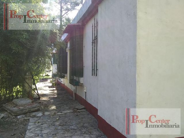 place photo 36