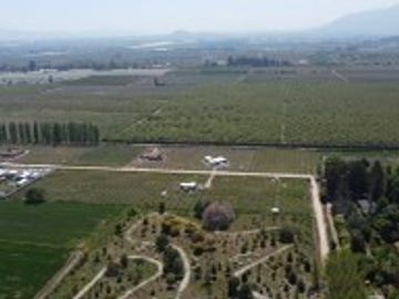 place photo 36