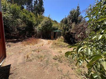 place photo 36