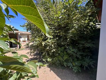 place photo 33
