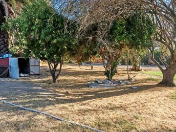 place photo 35