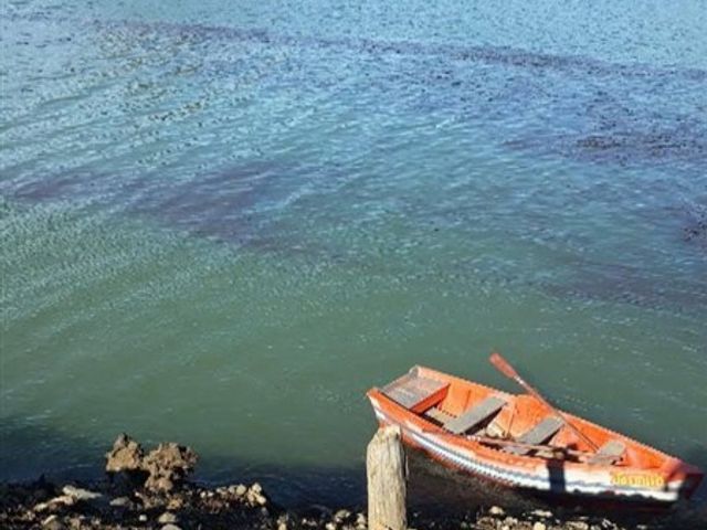 place photo 31
