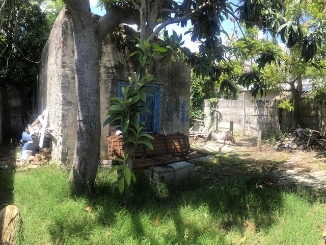 place photo 26
