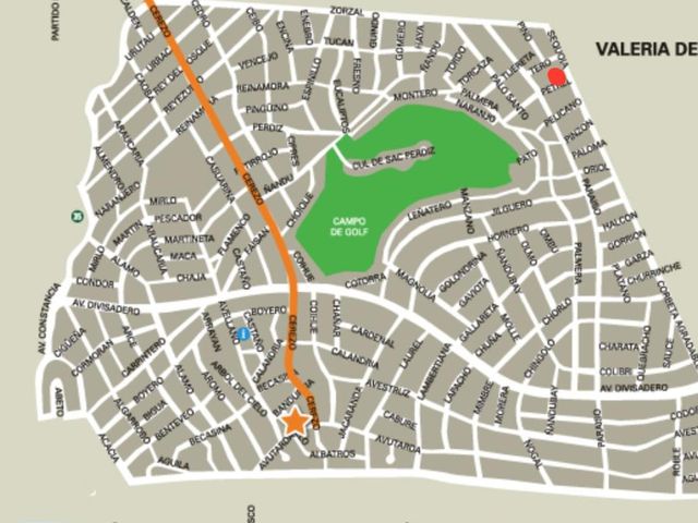place photo 21