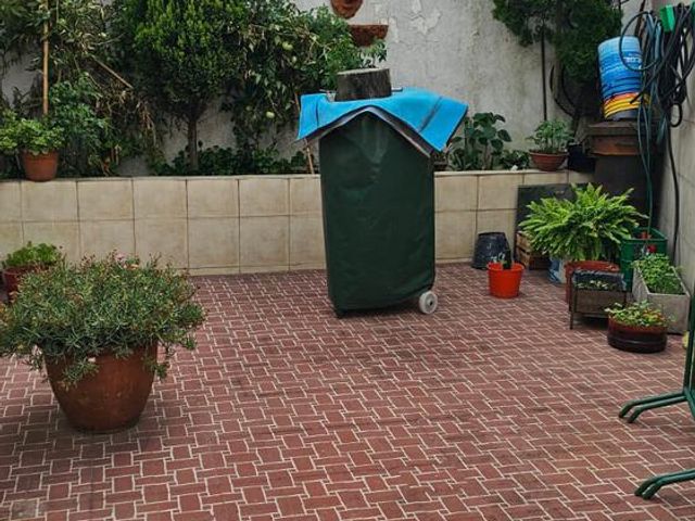 place photo 21