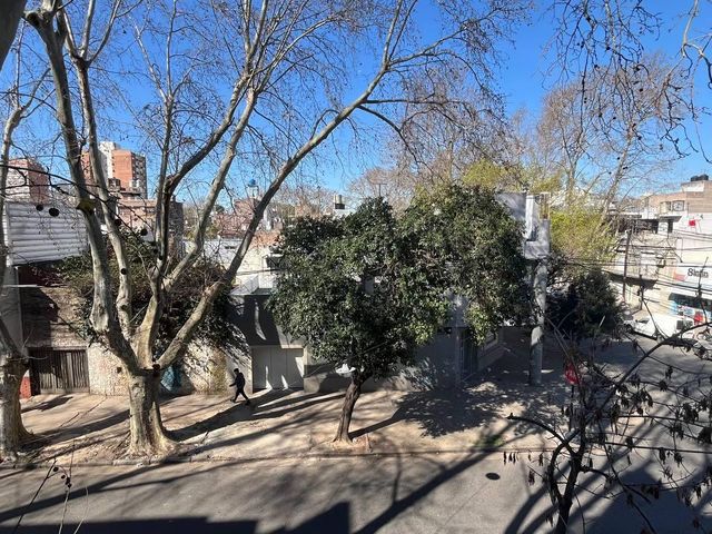 place photo 30