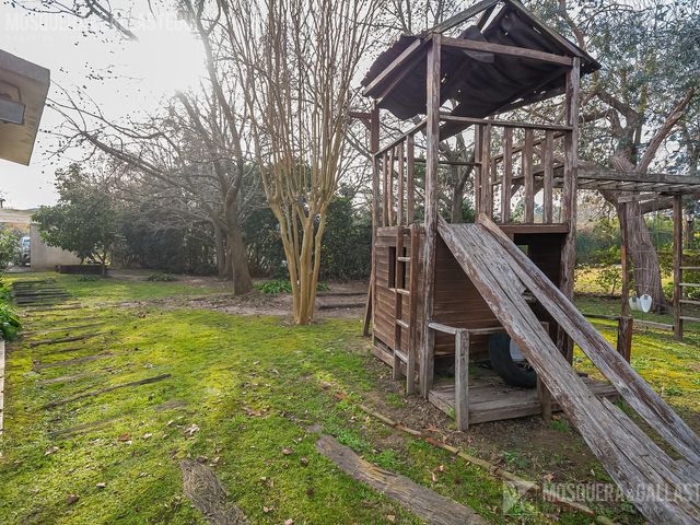 place photo 57