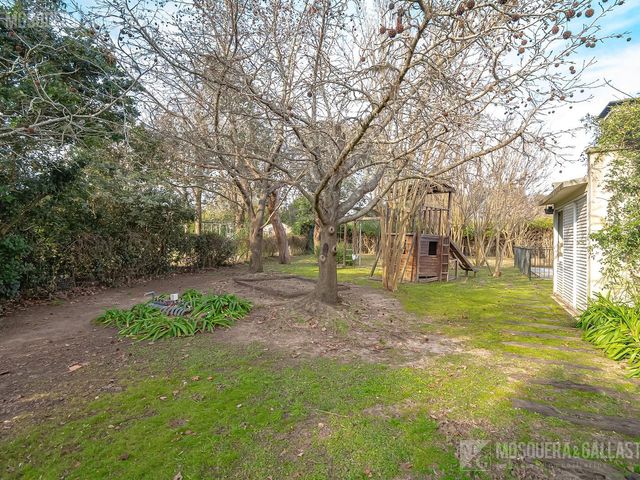 place photo 56