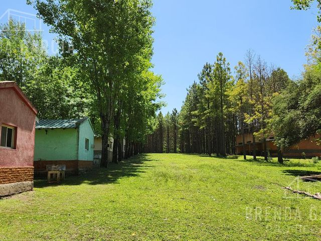 place photo 9