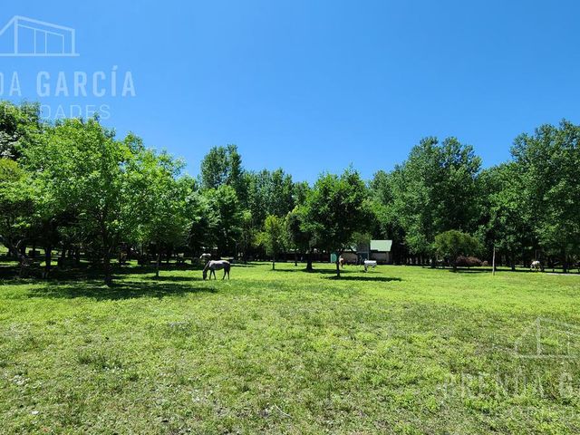 place photo 27