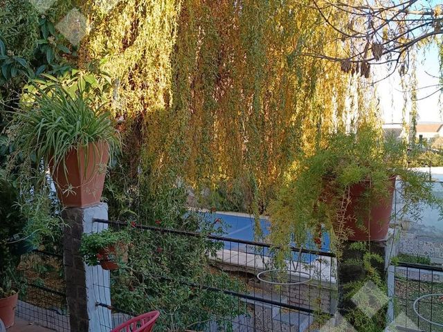 place photo 59