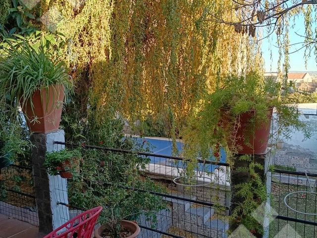 place photo 55