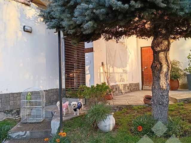 place photo 61