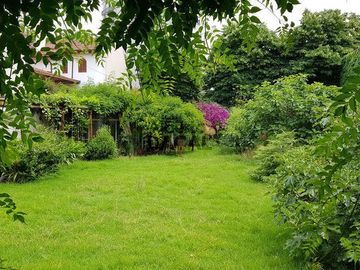 place photo 44