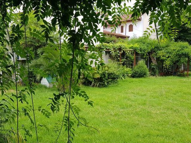 place photo 45