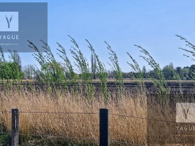 place photo 49