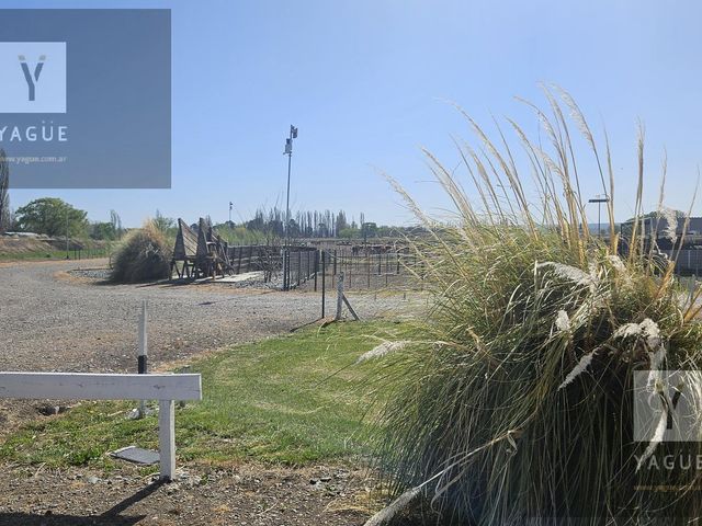 place photo 28