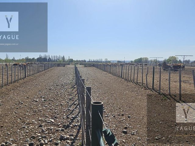 place photo 46