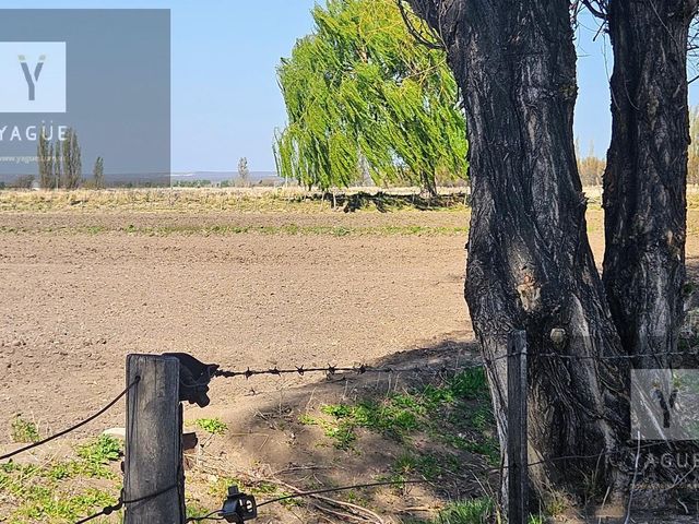 place photo 56