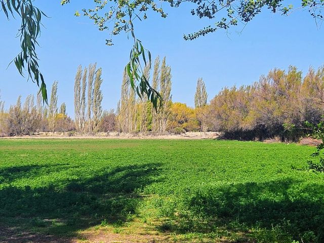place photo 62